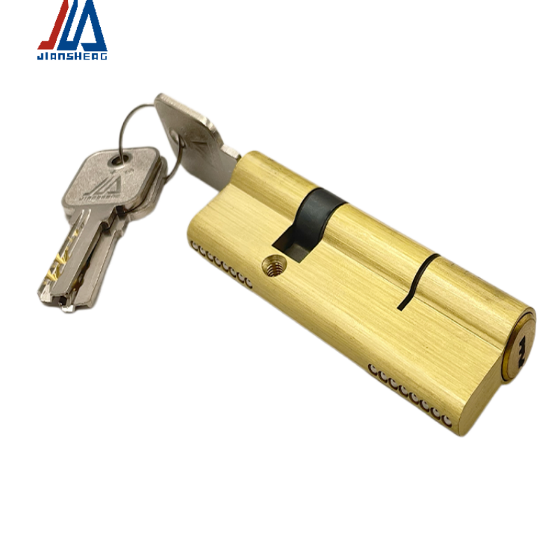 Cylindre de serrure de porte e - Home Security For Doors avis et prix