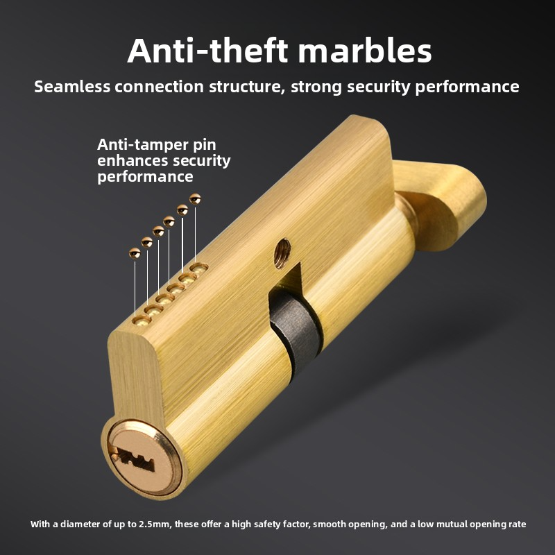 Serrure à cylindre de porte bi - Home Security For Doors avis et prix